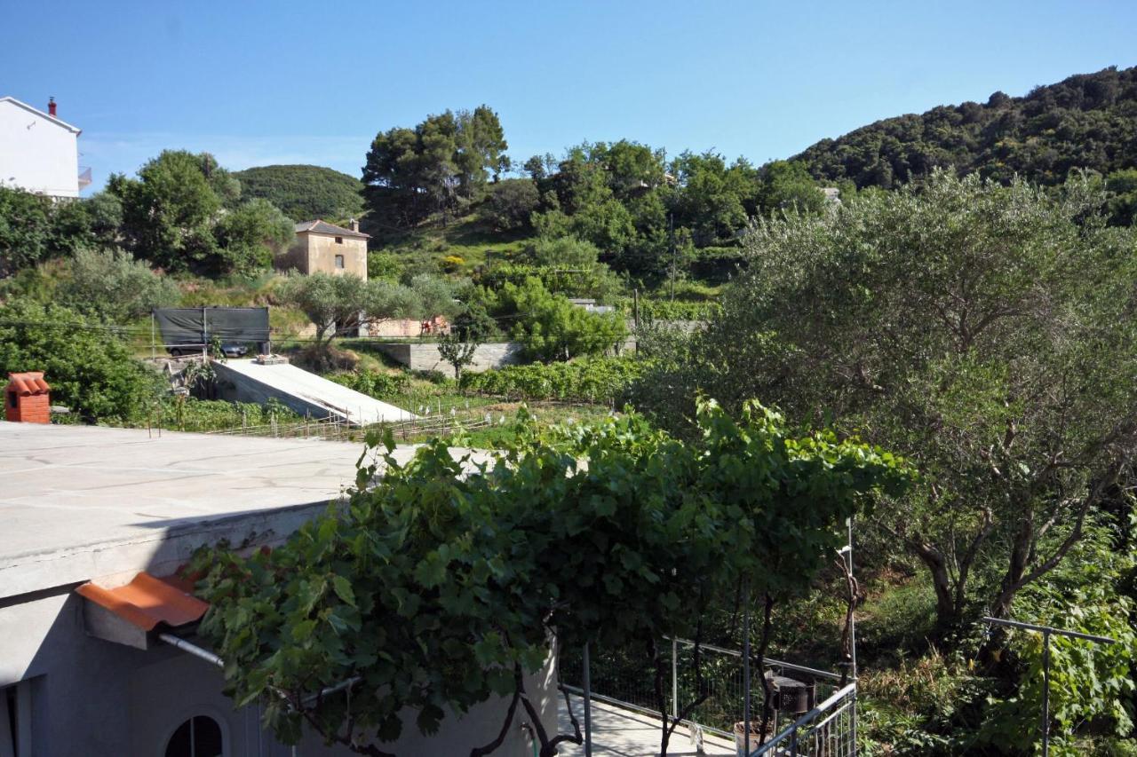 Family Friendly Apartments With A Swimming Pool Supetarska Draga - Donja, Rab - 2019 Exteriér fotografie
